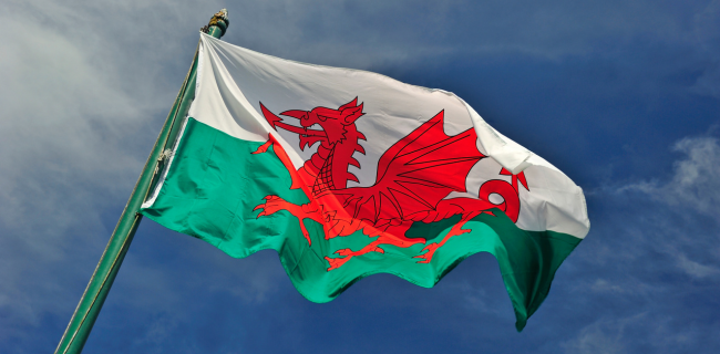 Safeguarding in Wales: What the Updated Section 5 Procedures Mean for Care Providers